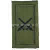 irish Army Commandant Rank