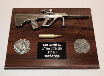 2 Coin Steyr Mod 14